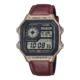 Casio ae-1200 AE-1200WHL-5AVEF